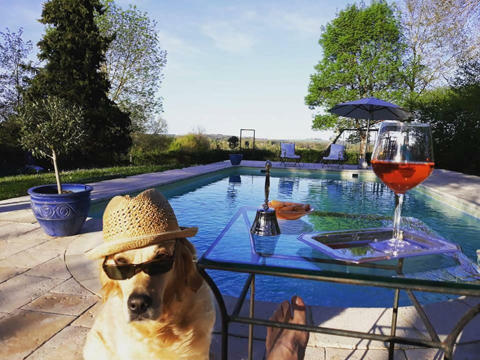 Domaine Du Merlot Sainte-Sabine-Born Luaran gambar